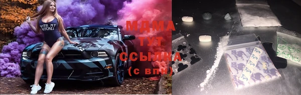 PSILOCYBIN Белокуриха