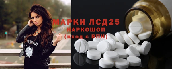 PSILOCYBIN Белокуриха