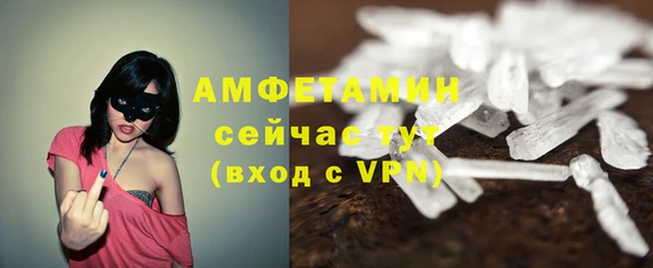 PSILOCYBIN Белокуриха