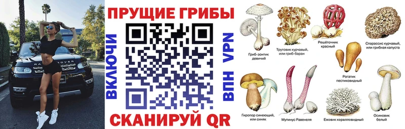 блэк спрут ТОР  площадка как зайти  Псилоцибиновые грибы MAGIC MUSHROOMS  Смоленск 